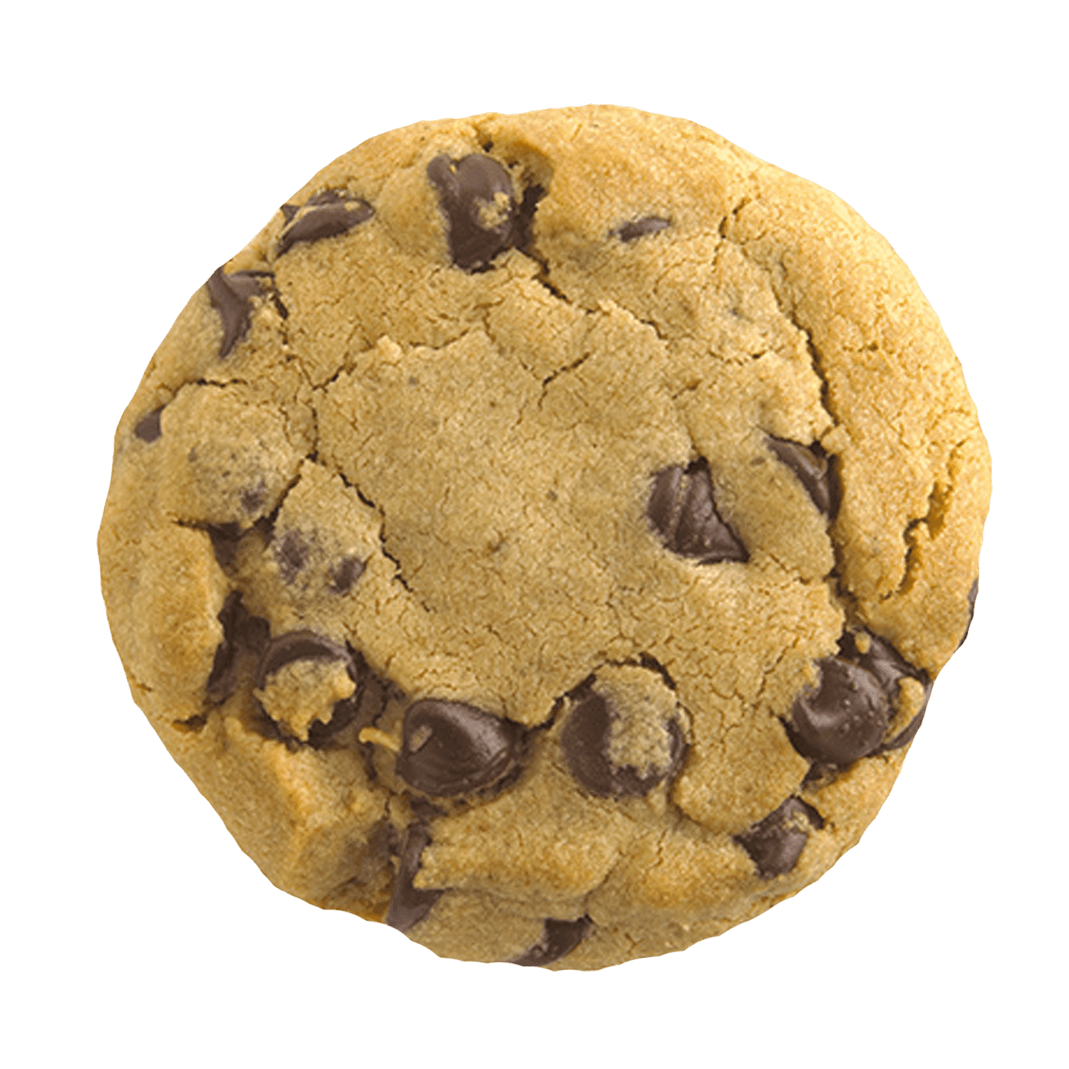 cookie